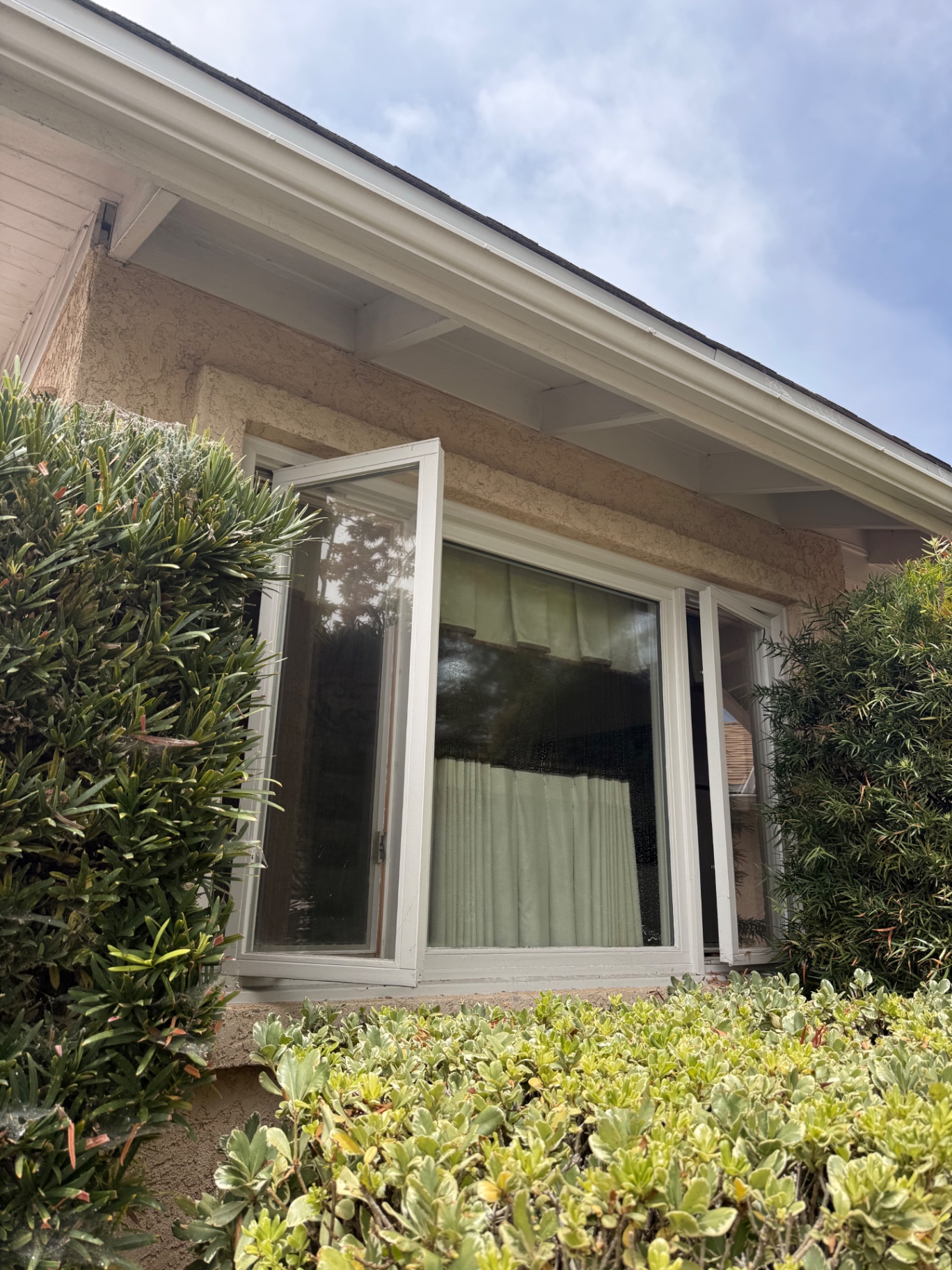 Before — Residential windows